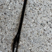 Sonic-1836-Carthage-TN-Remodel-Survey--36